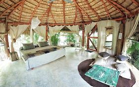 Dream Glamping Jungle Bohio