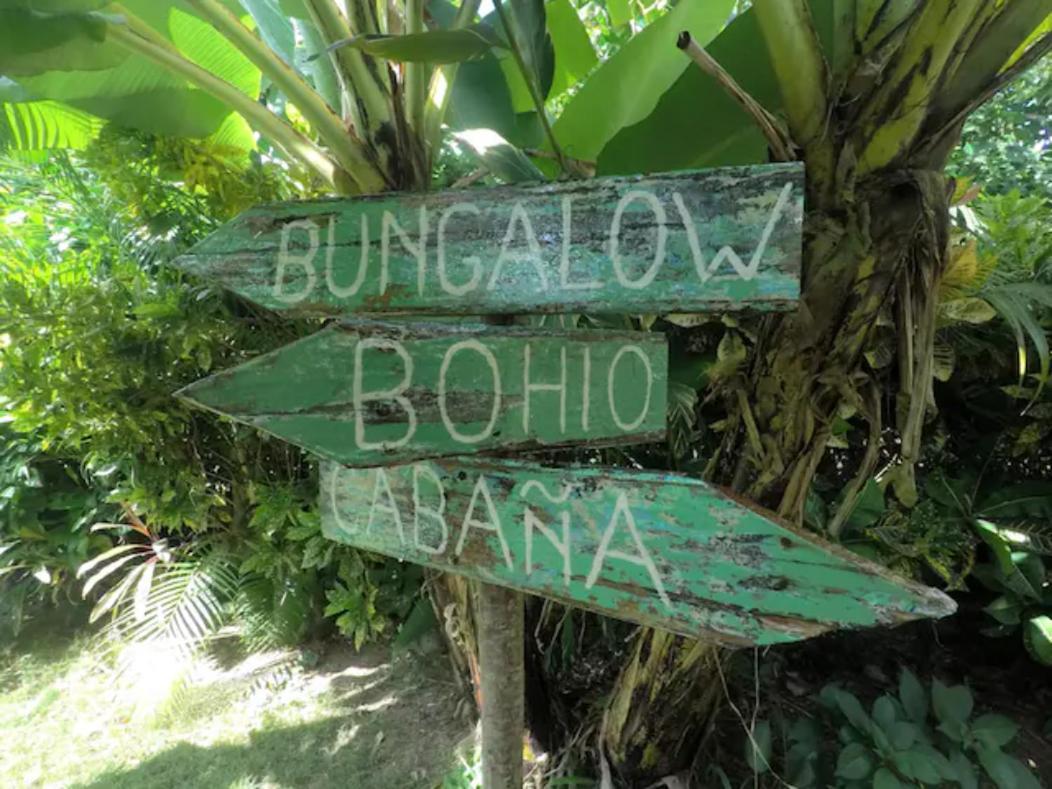 Dream Glamping Jungle Bohio Hotel Las Terrenas Exterior photo