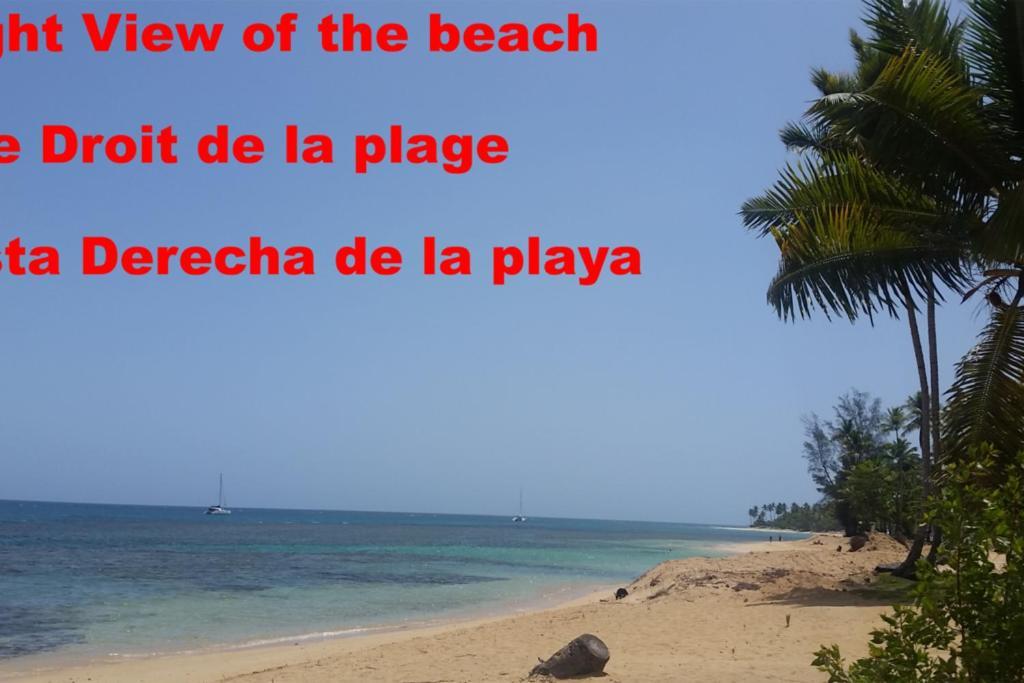 Dream Glamping Jungle Bohio Hotel Las Terrenas Exterior photo