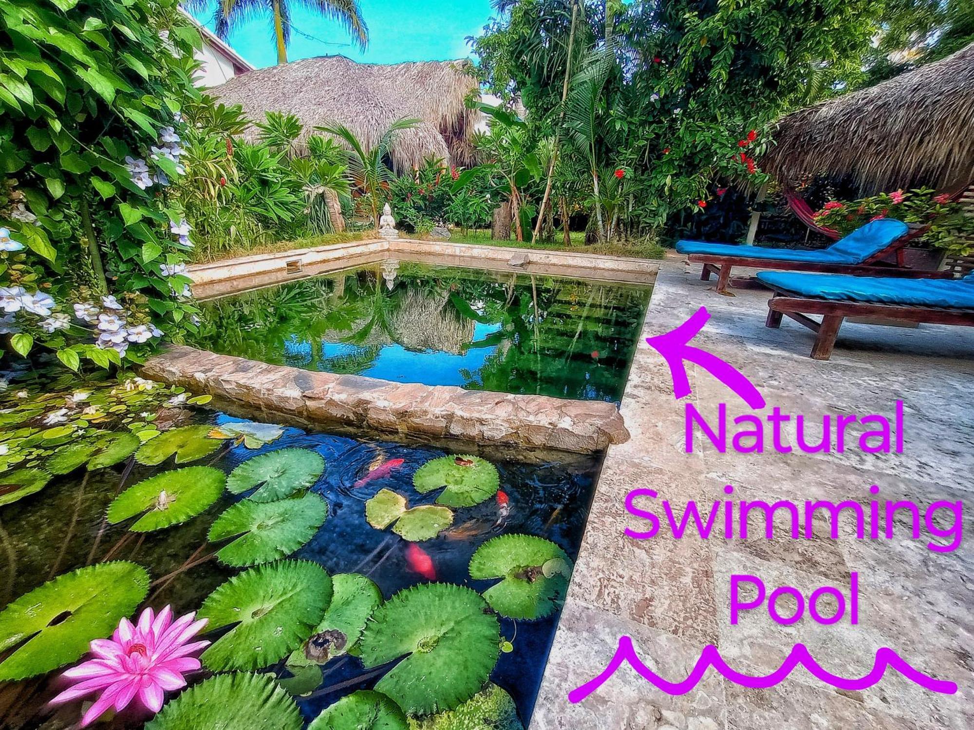 Dream Glamping Jungle Bohio Hotel Las Terrenas Exterior photo