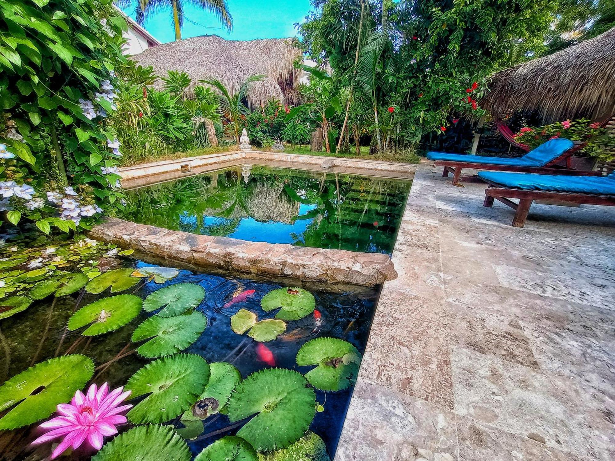 Dream Glamping Jungle Bohio Hotel Las Terrenas Exterior photo