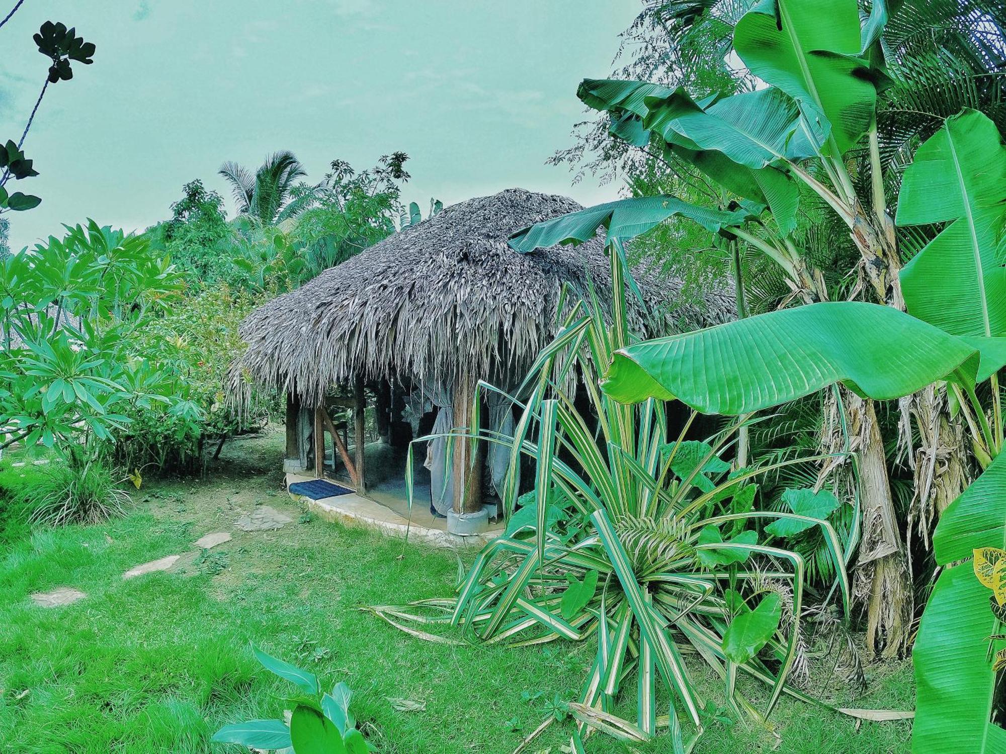 Dream Glamping Jungle Bohio Hotel Las Terrenas Exterior photo