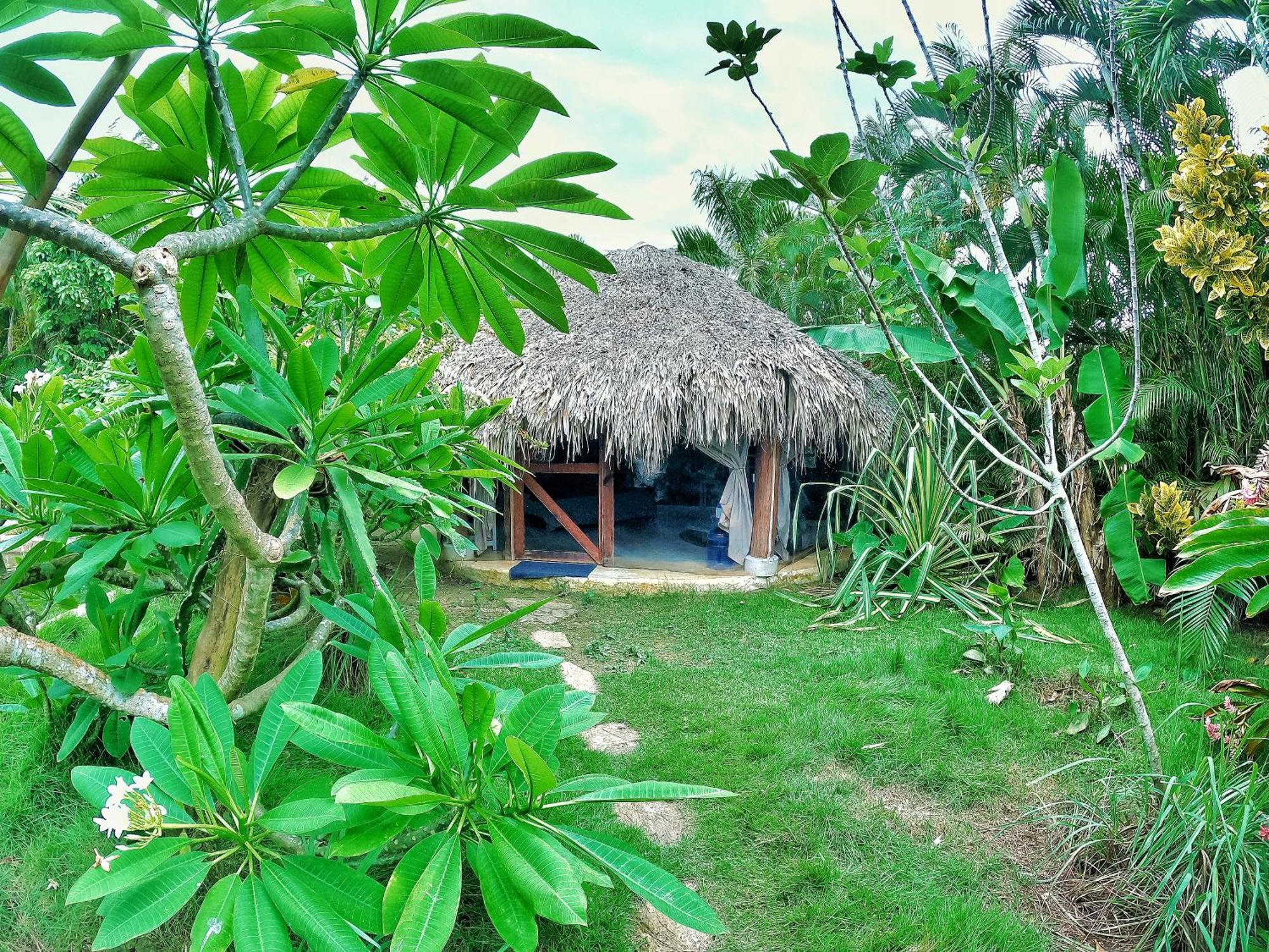 Dream Glamping Jungle Bohio Hotel Las Terrenas Exterior photo
